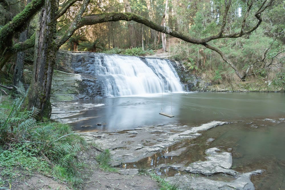 Morwell River Falls framed by an overhanging branch and swing