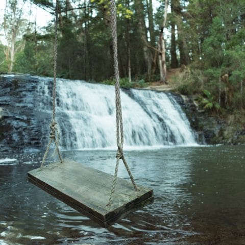 Morwell River Falls and swing