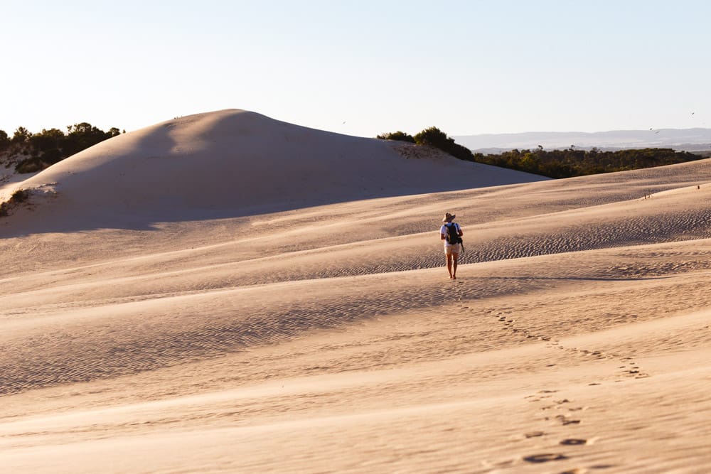 The Big Drift sand dunes in Wilsons Promontory