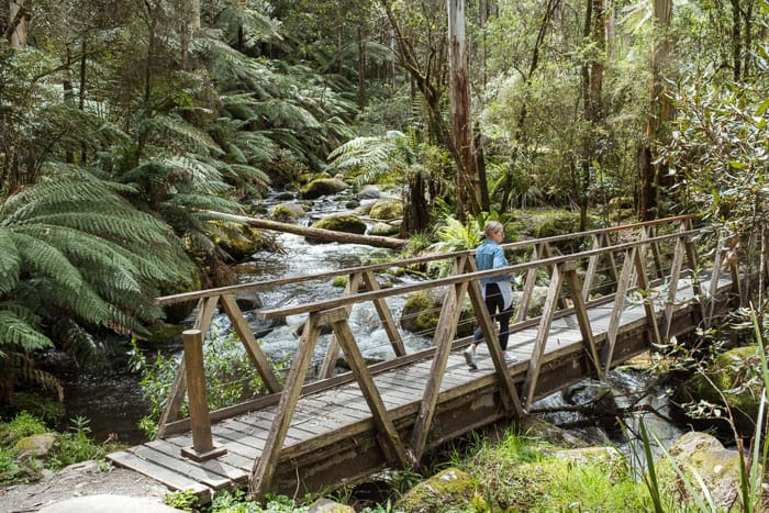 Toorongo River