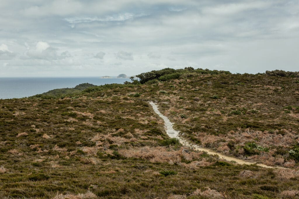 Wilsons Promontory