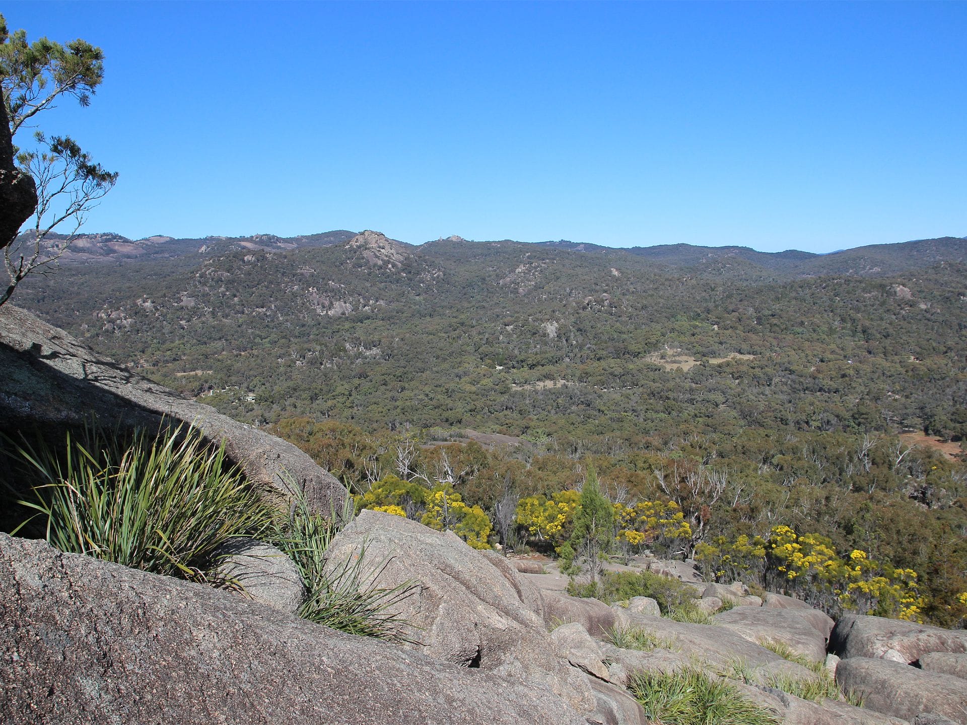 Girraween National Park