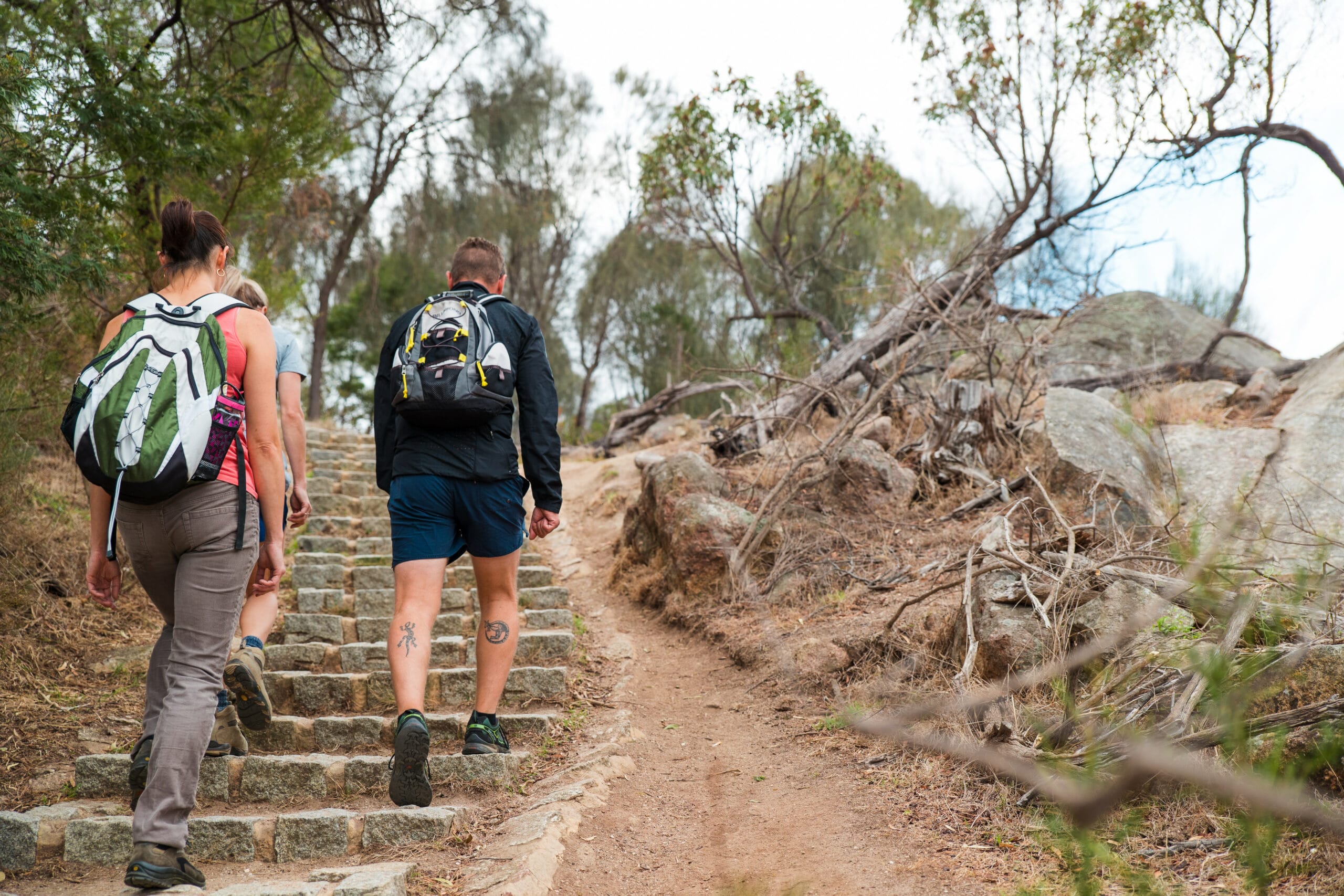 You Yangs Regional Park