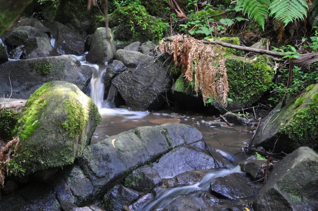 Sherbrooke Falls
