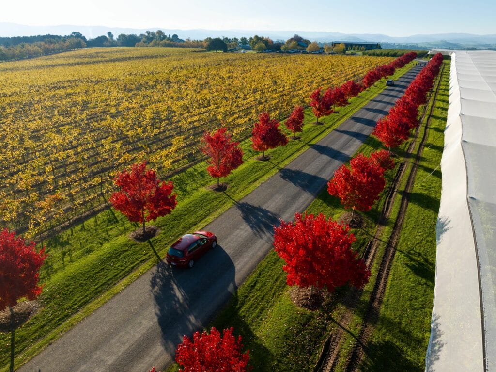 Yarra Valley