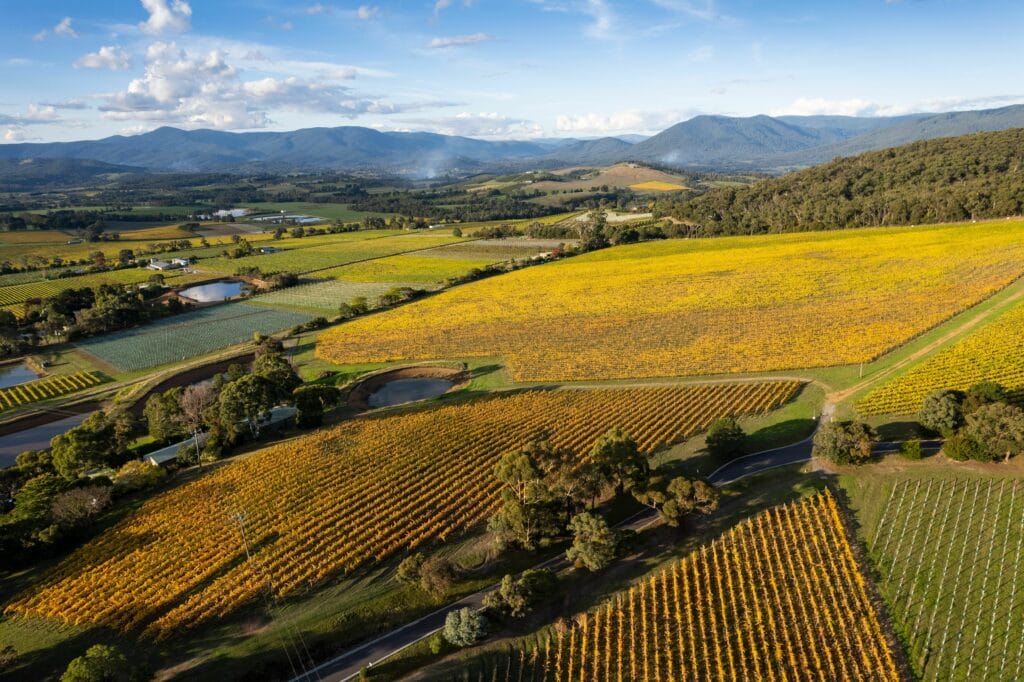 Yarra Valley