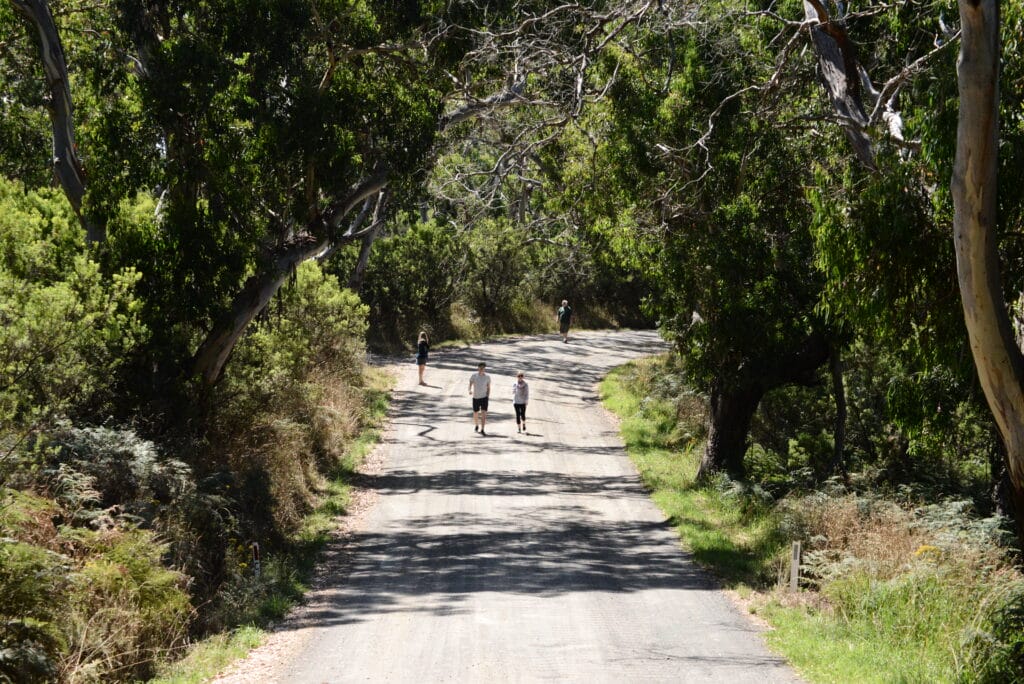 Great Otway National Park