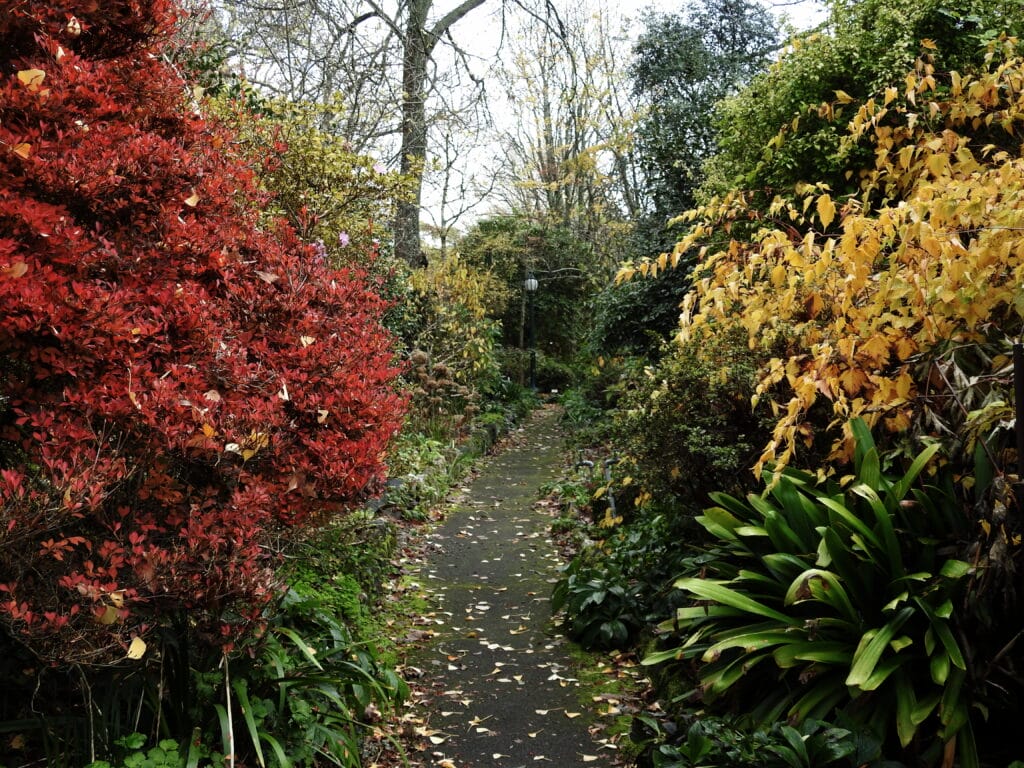 George Tindale Memorial Garden