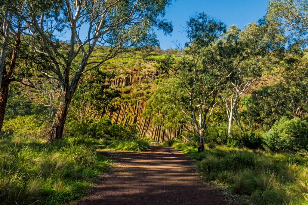 Organ Pipes National Park