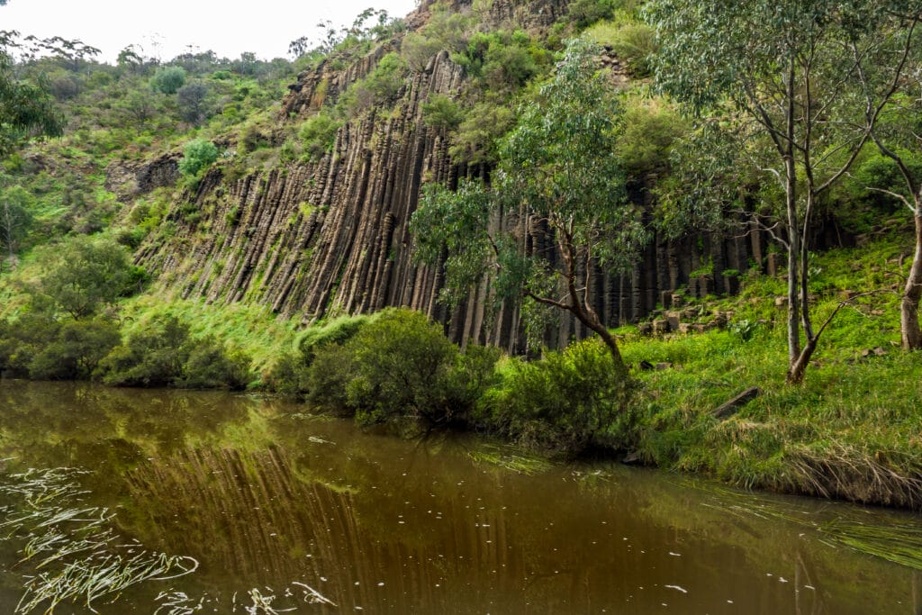 Organ Pipes National Park