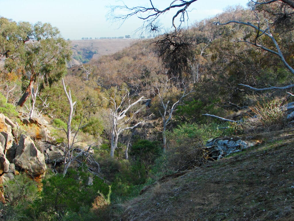 Werribee Gorge State Park