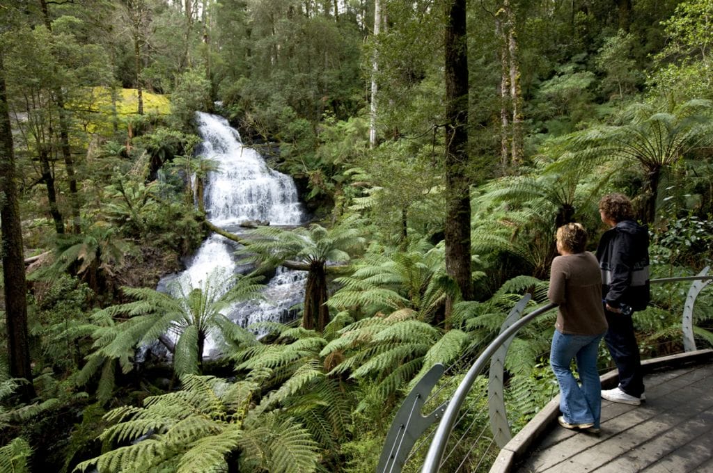 Great Otway National Park