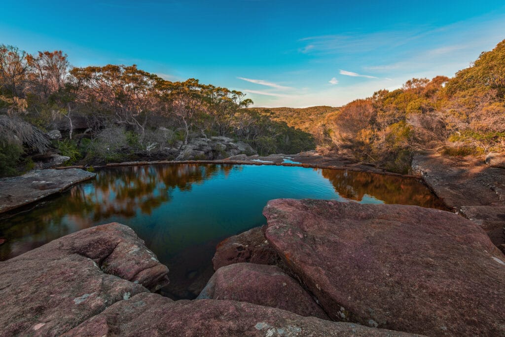 Royal National Park