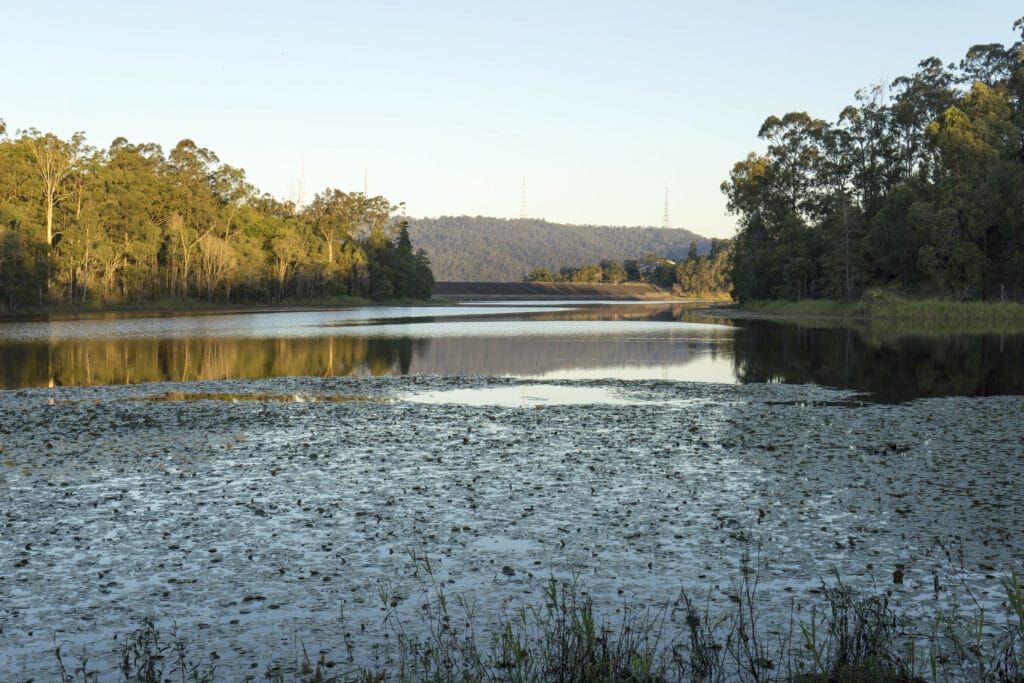 D'Aguilar National Park