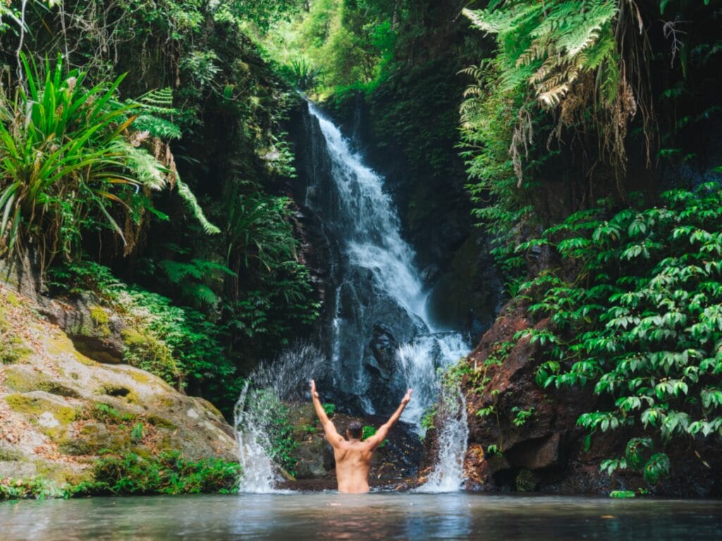 Lamington National Park