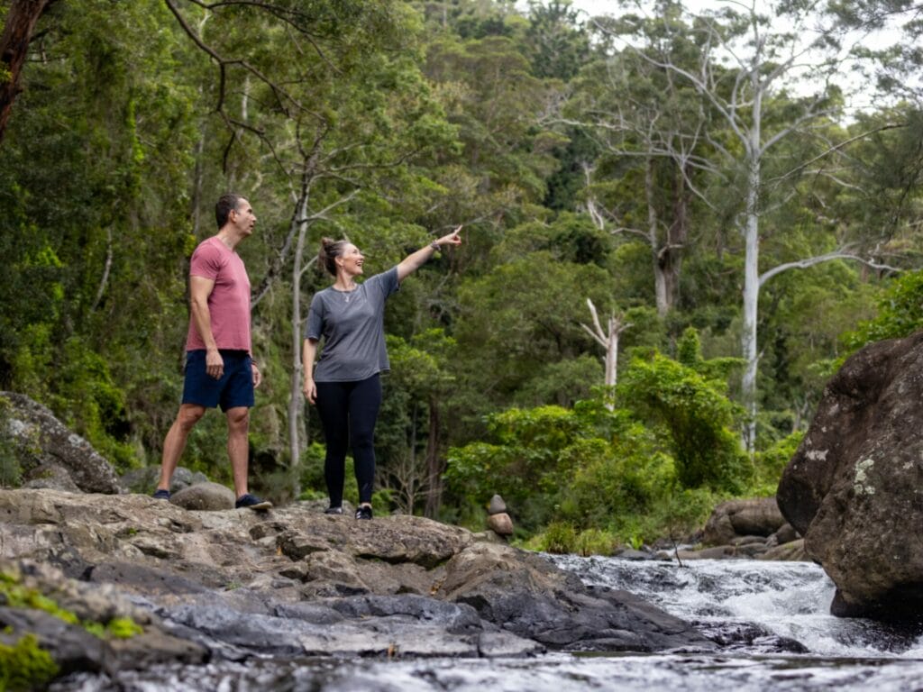 Lamington National Park