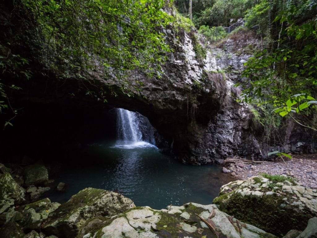 Springbrook National Park