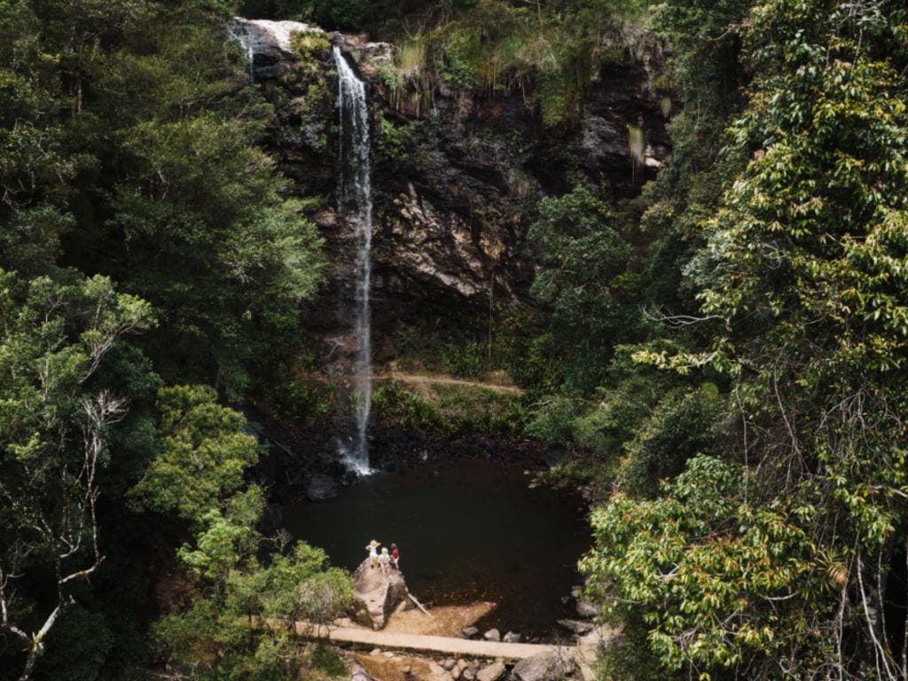 Springbrook National Park