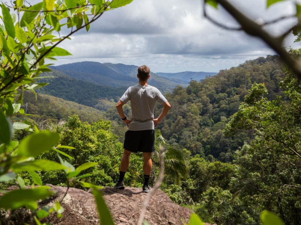 Springbrook National Park