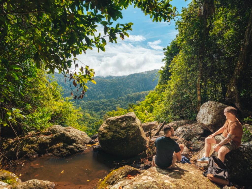 Springbrook National Park