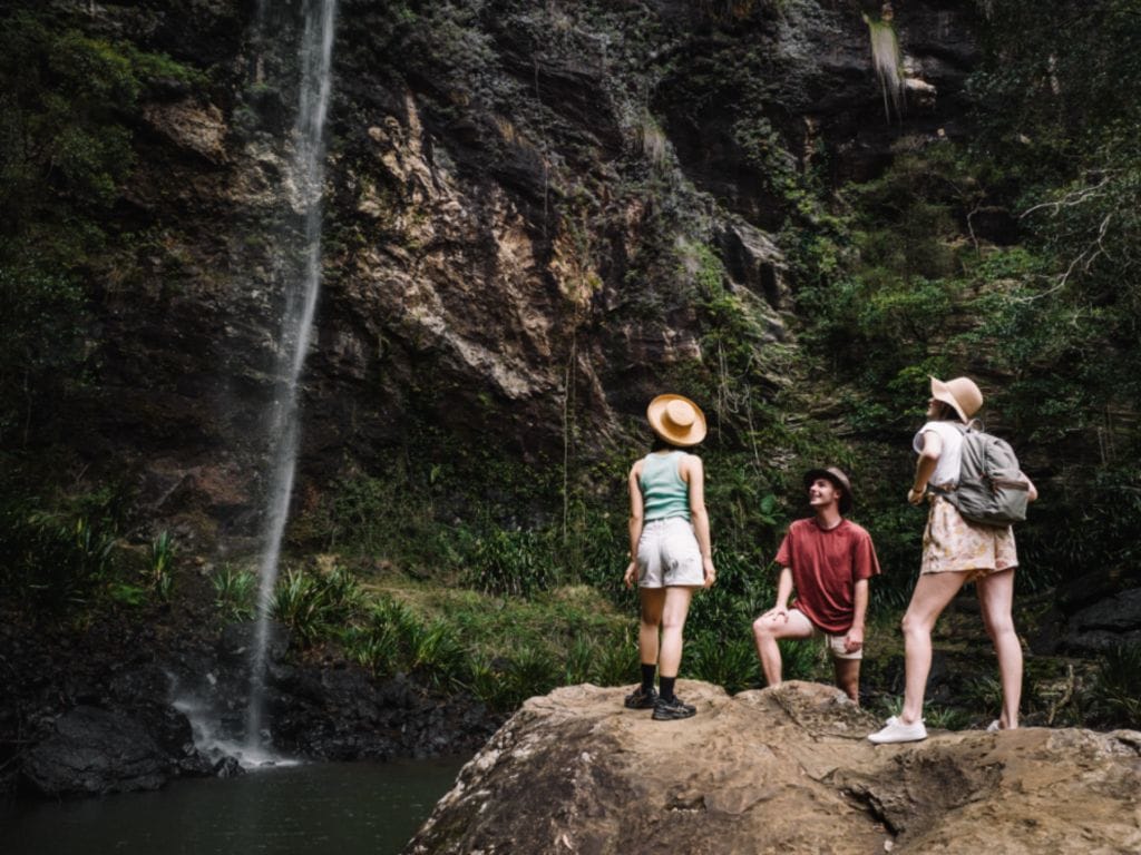 Springbrook National Park