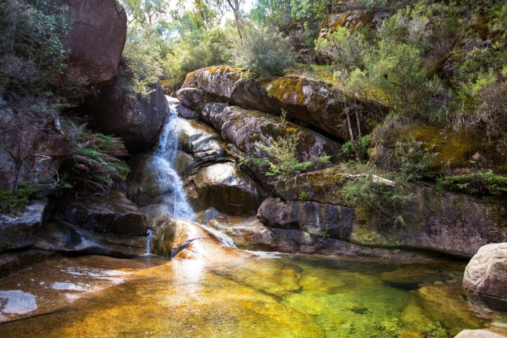 Mount Buffalo National Park