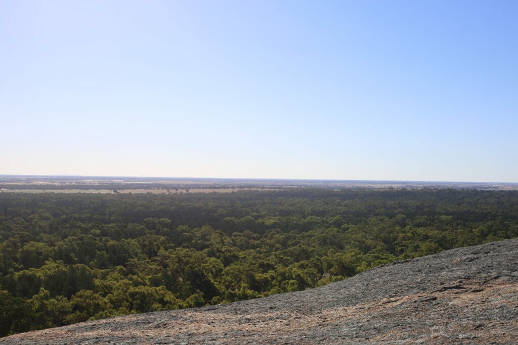 Terrick Terrick National Park