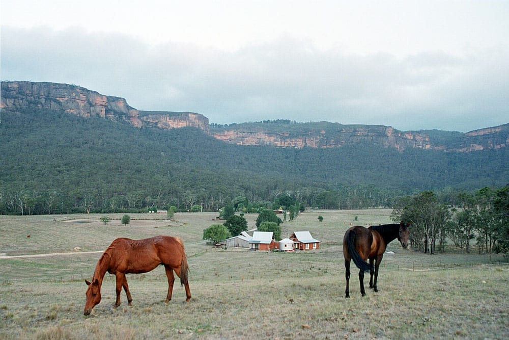 Eco Woolshed