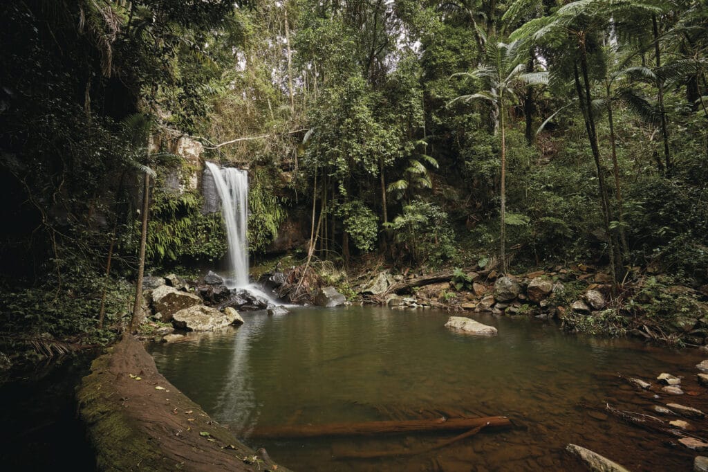 Tamborine National Park