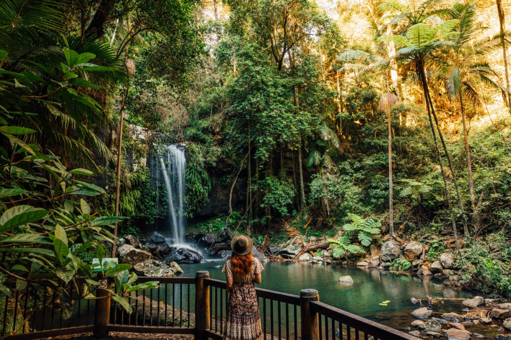 Tamborine National Park