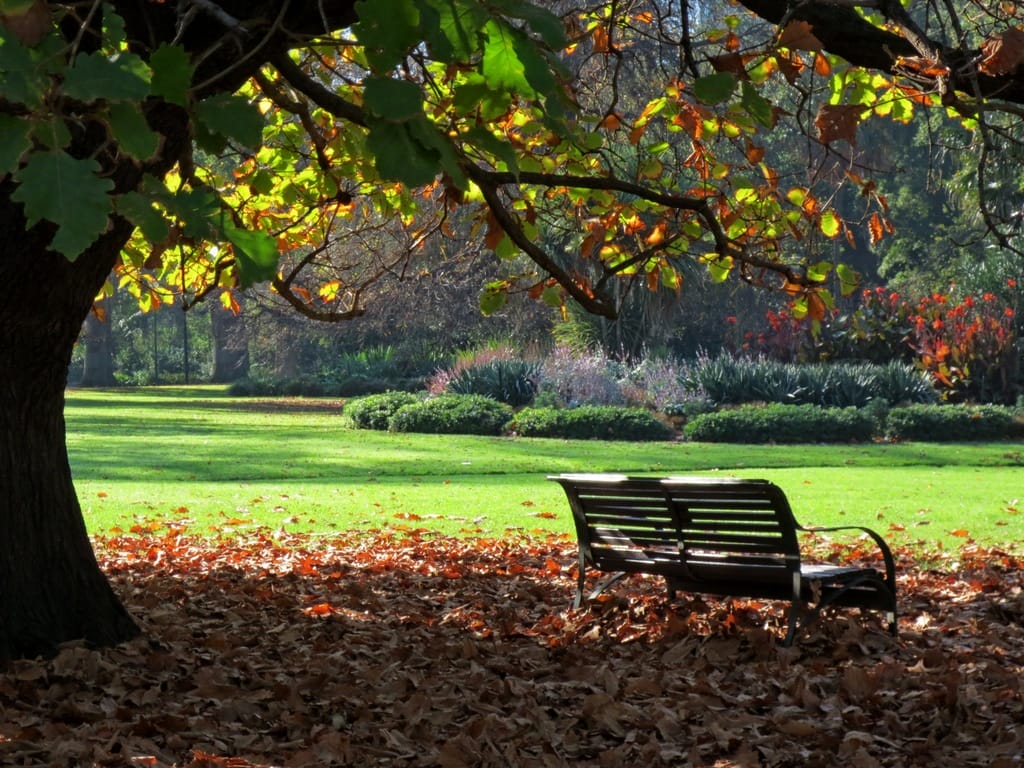 Fitzroy Gardens