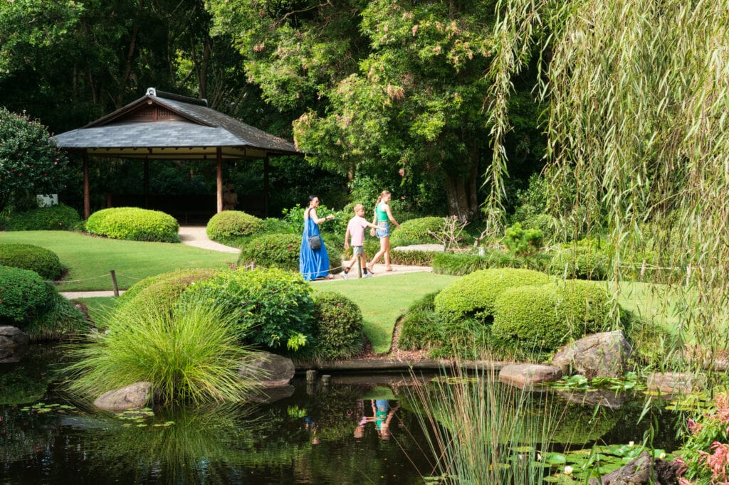 Brisbane Botanic Gardens Mt. Coot-tha