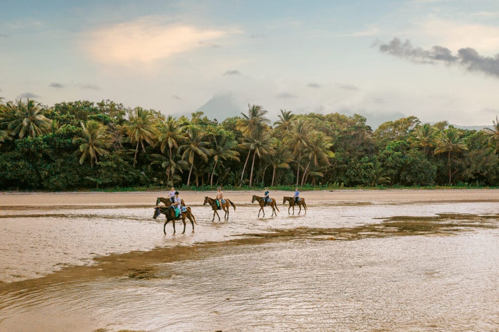 Daintree National Park