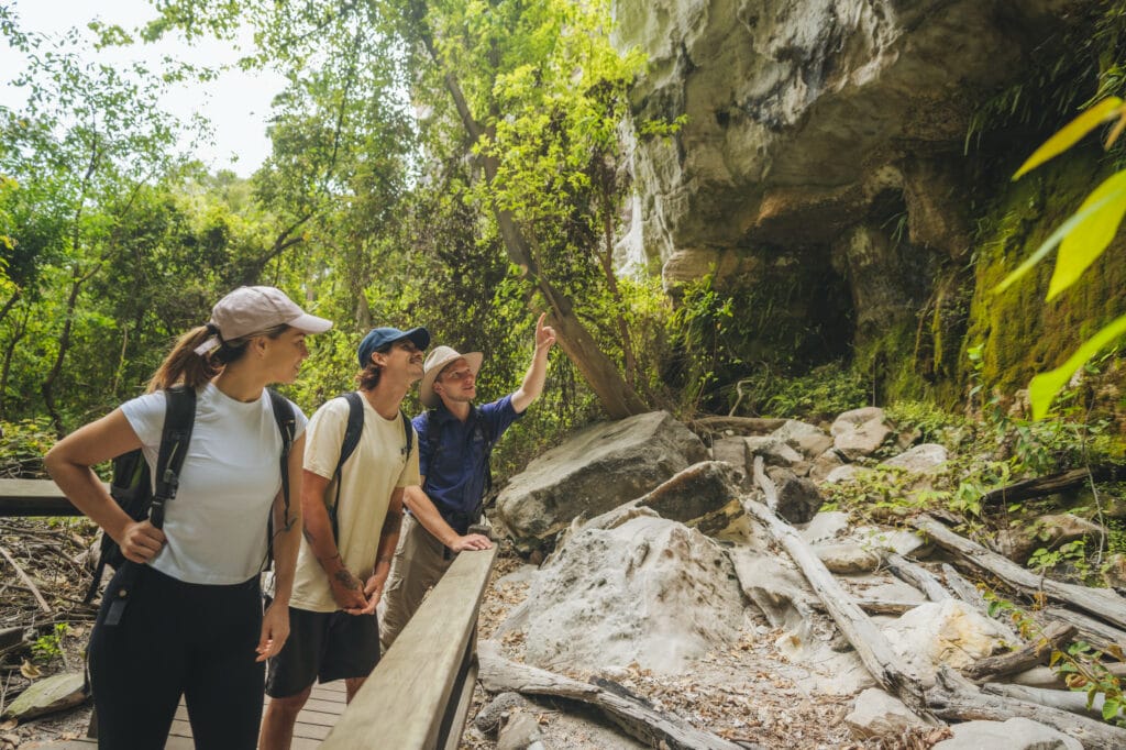 Carnarvon Gorge