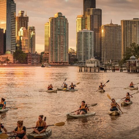 Kayak the Brisbane River